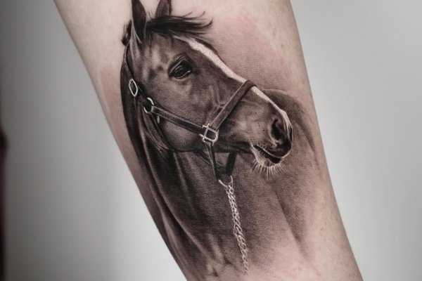 tatuaj cal